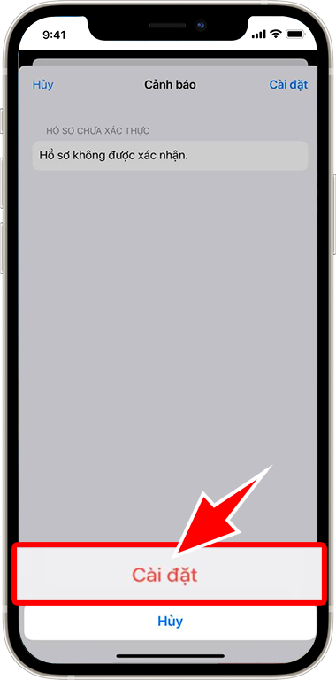 Your Image